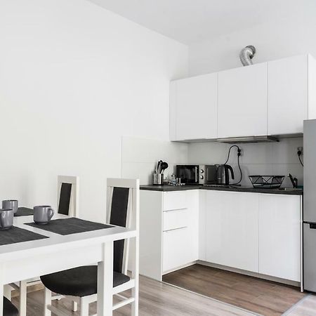 Tomasza 20 Apartment 140M2 Krakow Luaran gambar